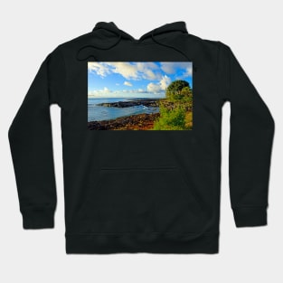 North Shore Study 1 Hoodie